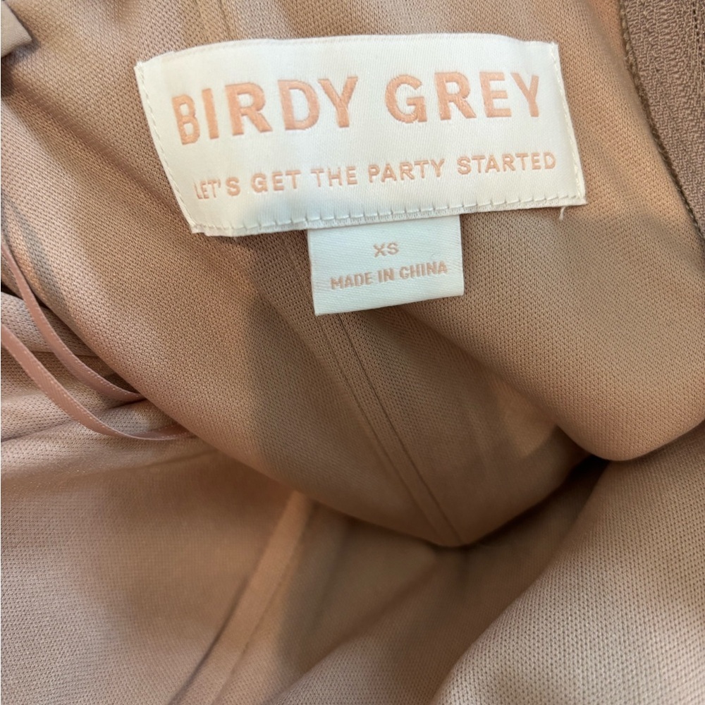 Birdy Grey Strapless Taupe Gown - Picture 2 of 9